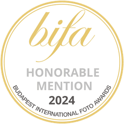 BIFA 2024 Honorable Mention