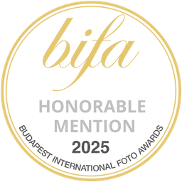 BIFA 2025 Honorable Mention