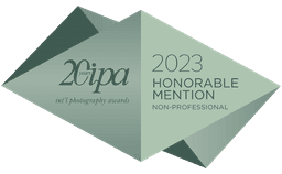 IPA 2023 Honorable Mention