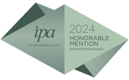 IPA 2024 Honorable Mention